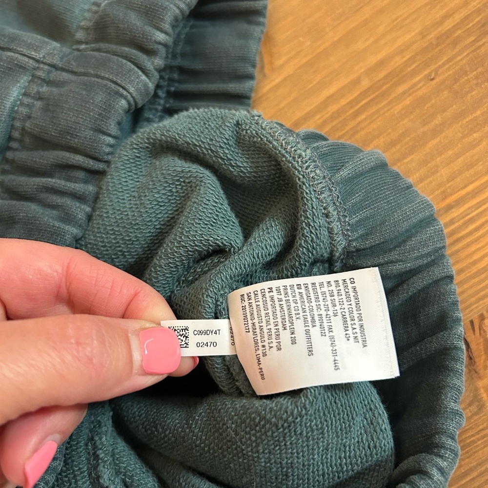 American Eagle Outfitters Teal Joggers Size M Streetwear Athleisure Distressed - Picture 7 of 15